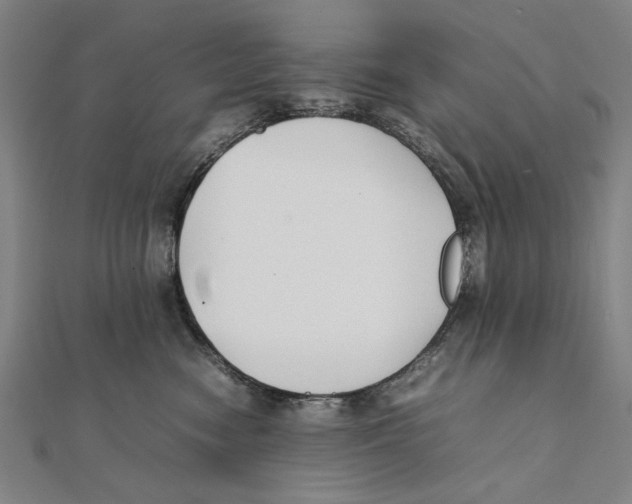 X0000111490474200908111228
