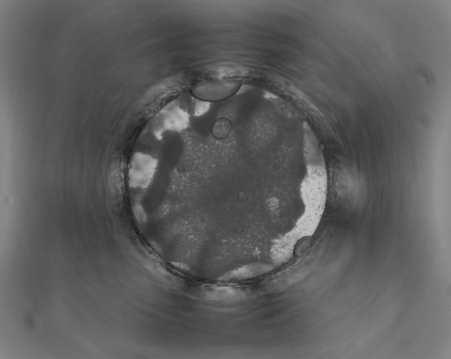X0000111490475200908111228