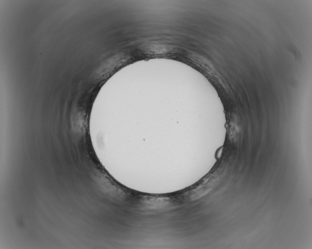 X0000111490476200908111228