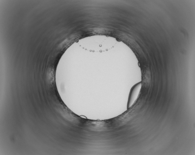 X0000111490478200908111228