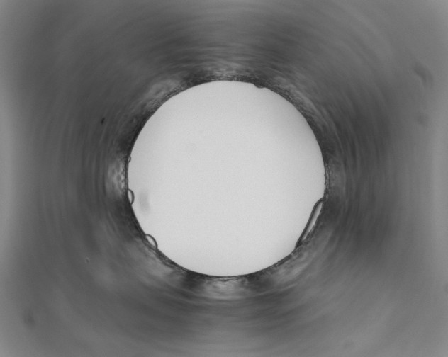 X0000111490479200908111228