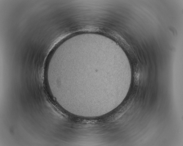 X0000111490484200908111227