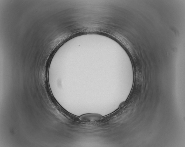 X0000111490485200908111227