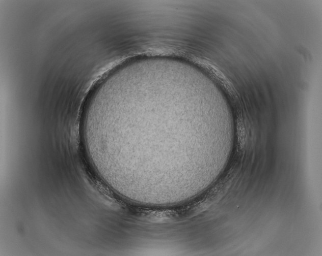 X0000111490488200908111227