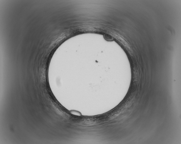 X0000111490489200908111227