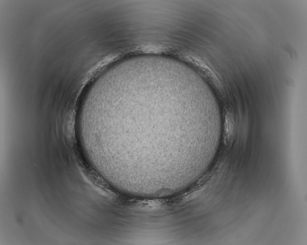 X0000111490492200908111227