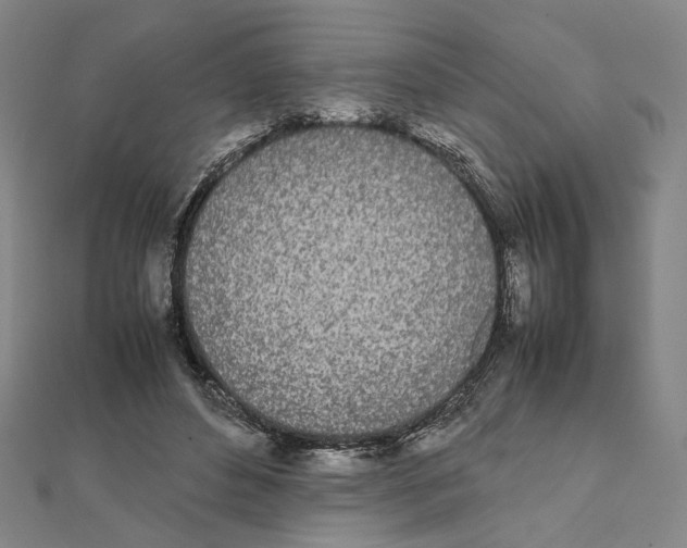 X0000111490496200908111227