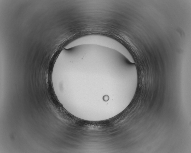 X0000111490500200908111227