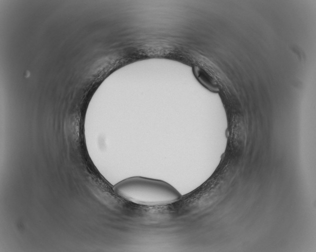 X0000111490501200908111227