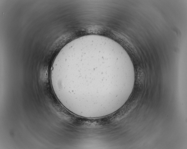 X0000111490502200908111227