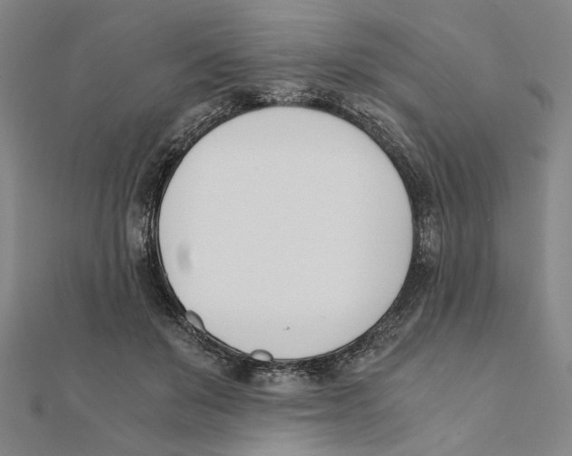 X0000111490503200908111227