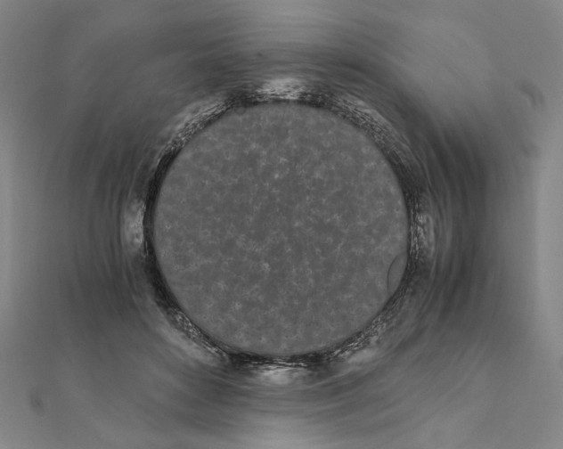 X0000111490504200908111227