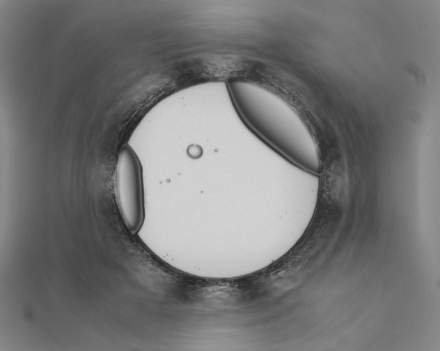 X0000111490505200908111227
