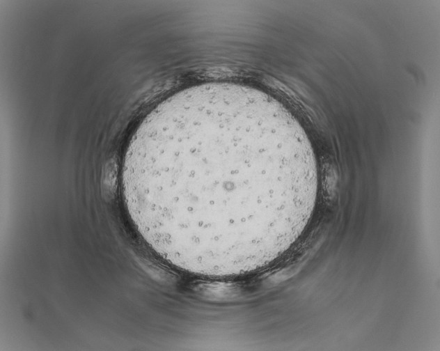 X0000111490507200908111227
