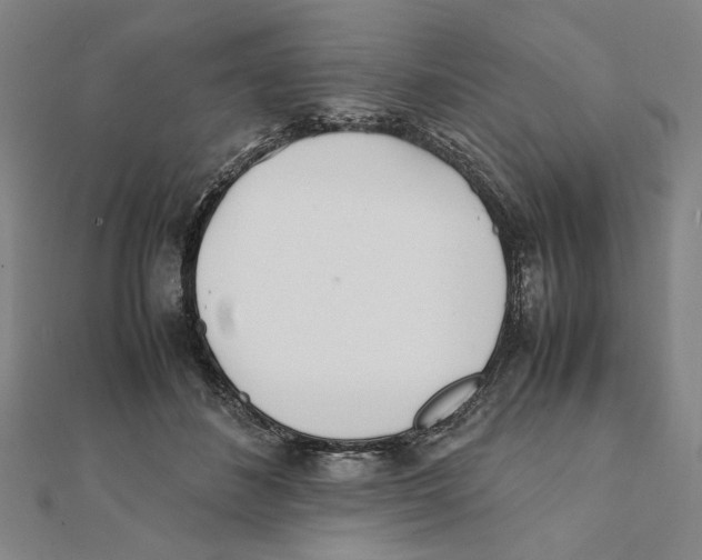 X0000111490508200908111227