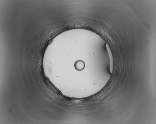 X0000111490509200908111227