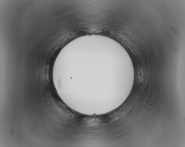 X0000111490512200908111227