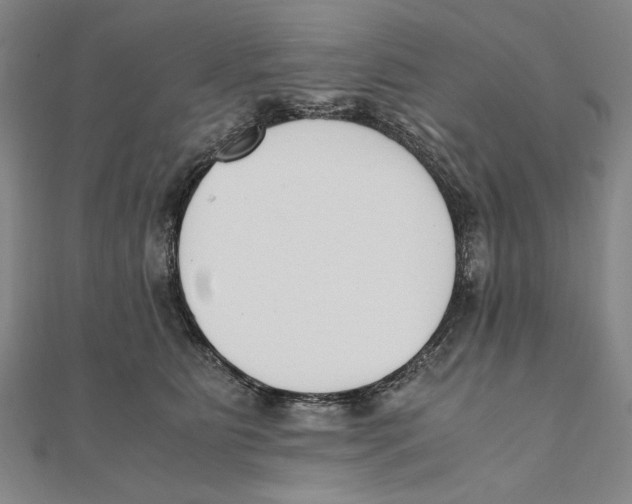X0000111490515200908111227