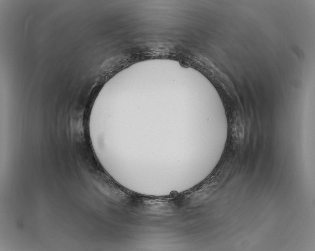 X0000111490516200908111227