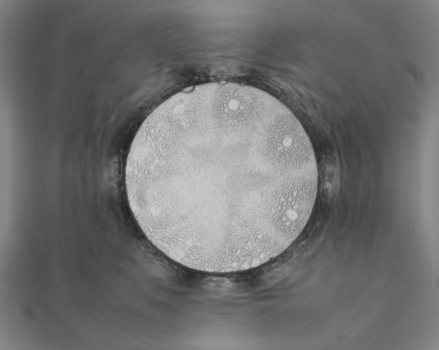 X0000111490519200908111226