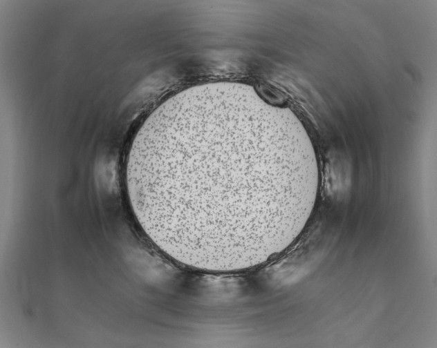 X0000111490520200908111226