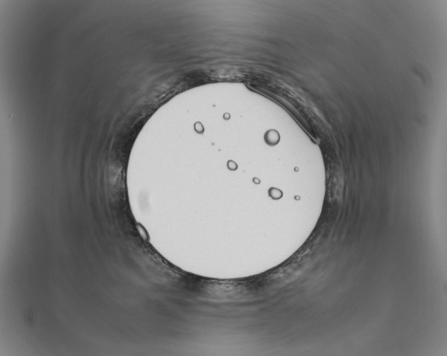 X0000111490521200908111226
