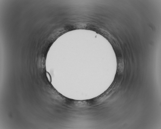 X0000111490525200908111226