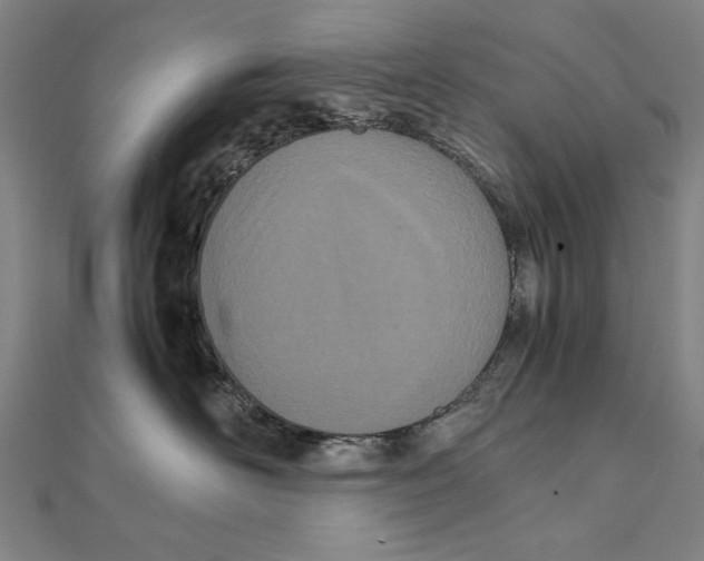 X0000111490526200908111226
