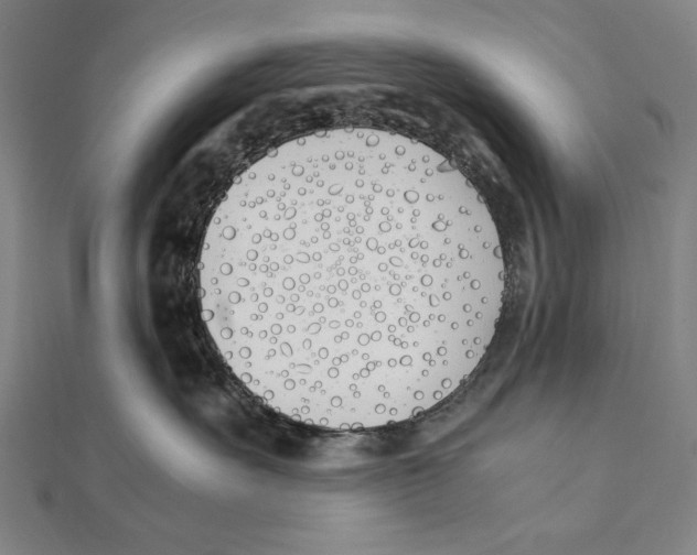 X0000111490527200908111226