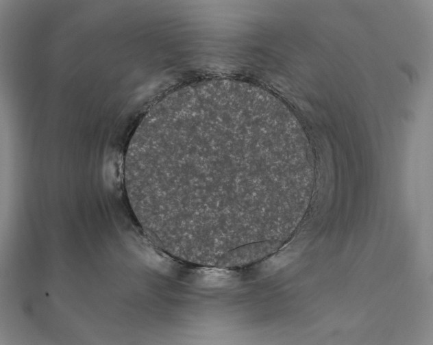 X0000111490528200908111226