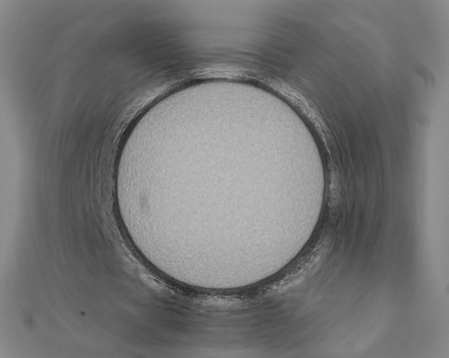 X0000111490529200908111226