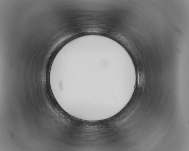 X0000111490531200908111226