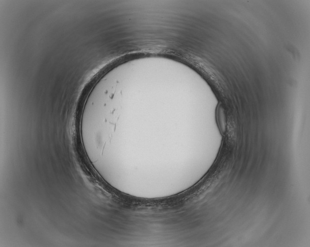X0000111490532200908111226