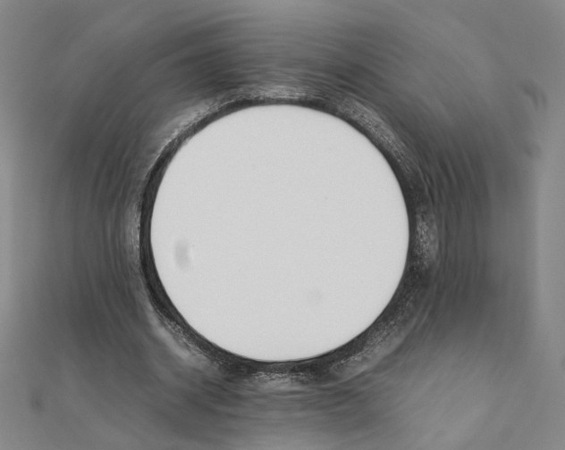 X0000111490534200908111226