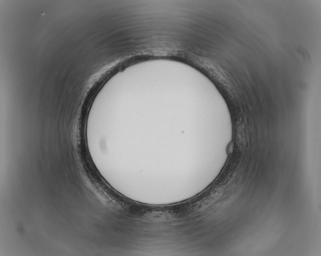 X0000111490536200908111226