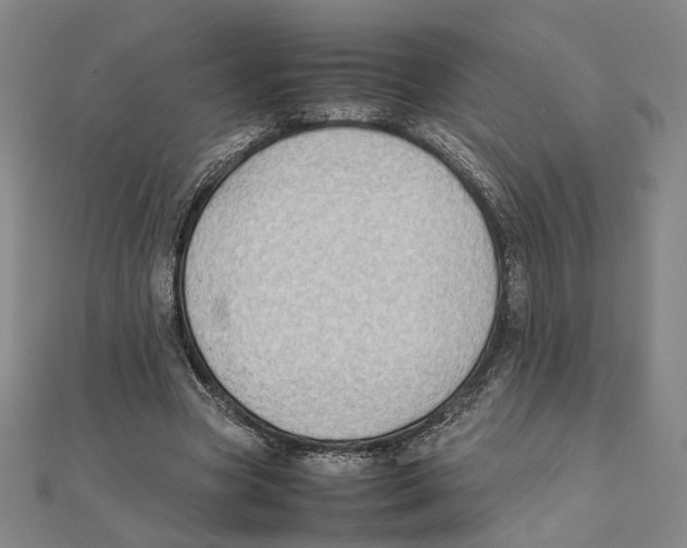 X0000111490537200908111226