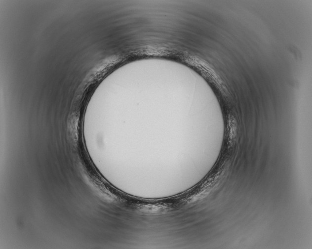 X0000111490542200908111226