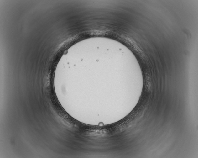 X0000111490543200908111226