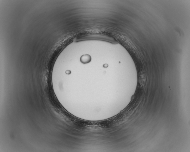 X0000111490544200908111226
