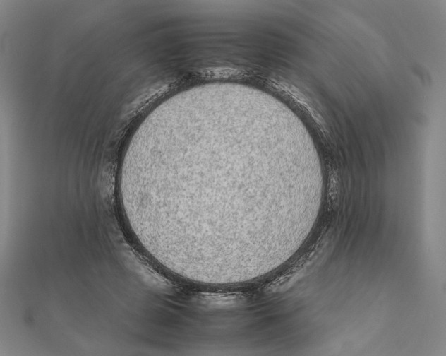 X0000111490545200908111226