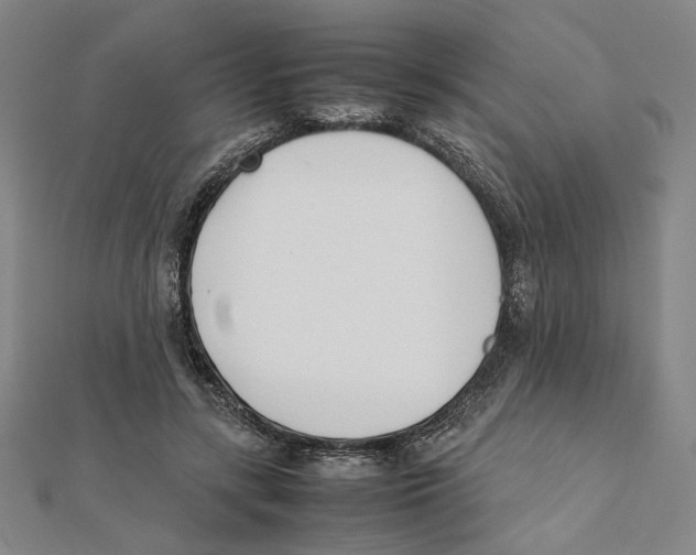 X0000111490547200908111226