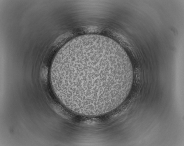 X0000111490550200908111226