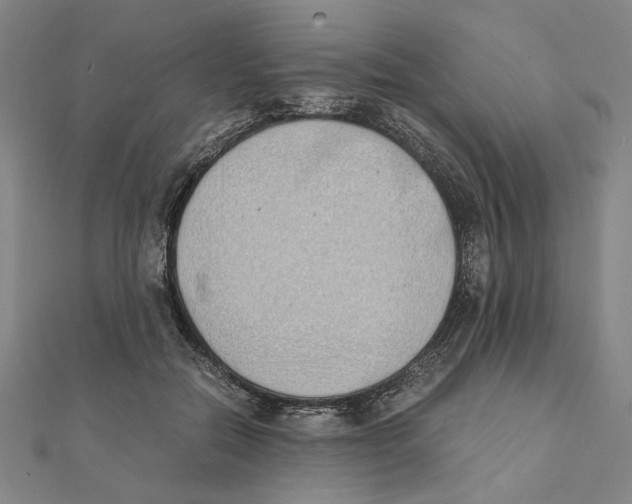 X0000111490554200908111226