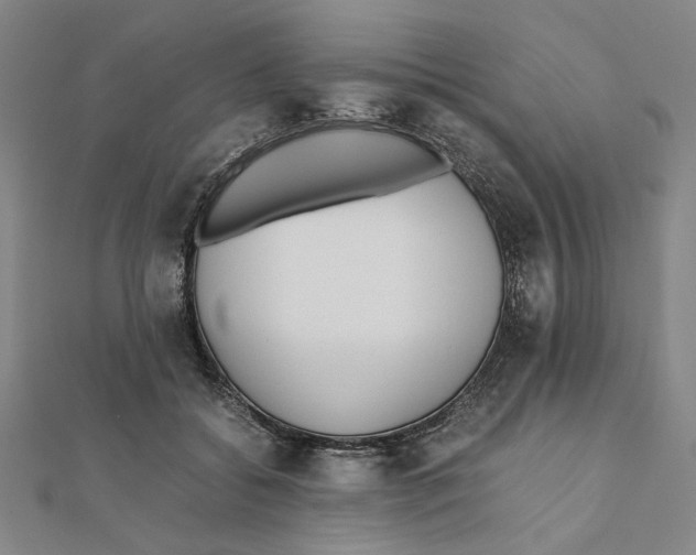 X0000111490556200908111226
