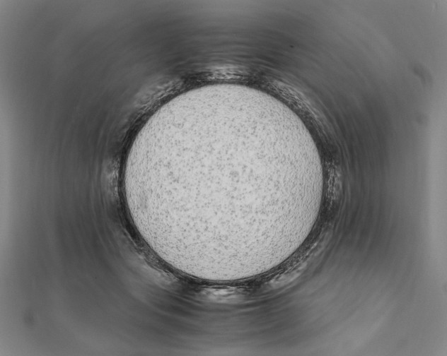 X0000111490557200908111226