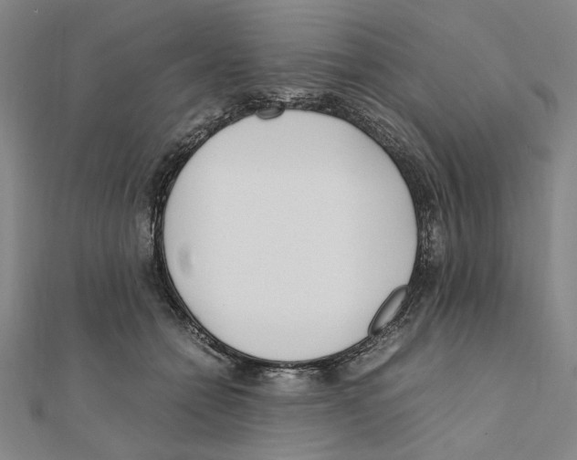 X0000111490558200908111226