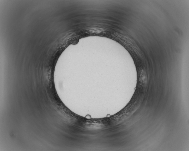 X0000111490559200908111226