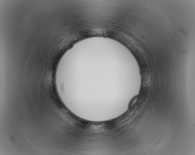 X0000111490560200908111226