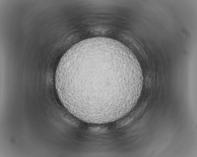X0000111490561200908111226