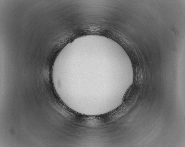 X0000111490562200908111226